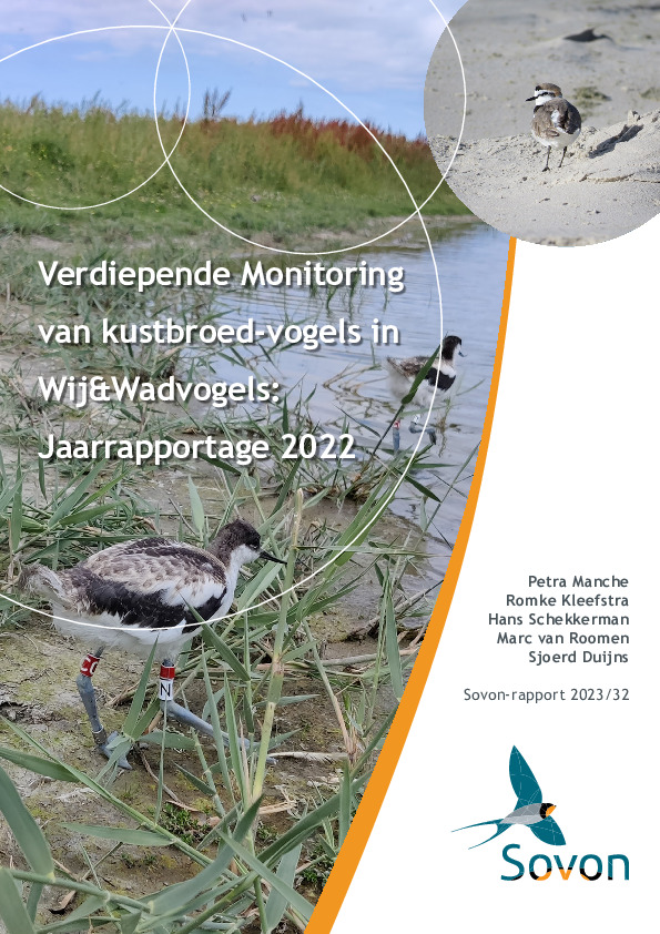Omslag Verdiepende monitoring van kustbroedvogels in Wij&Wadvogels: jaarrapportage 2022