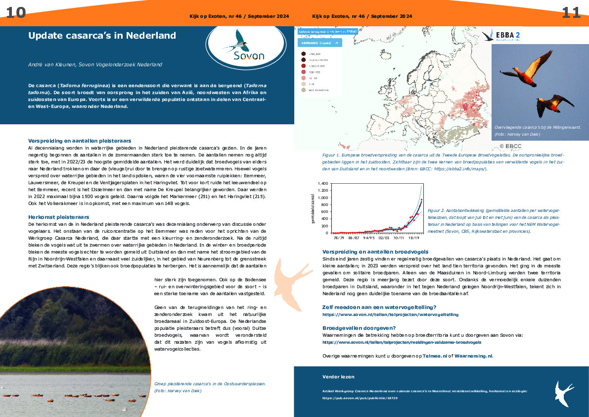 Omslag Update casarca’s in Nederland