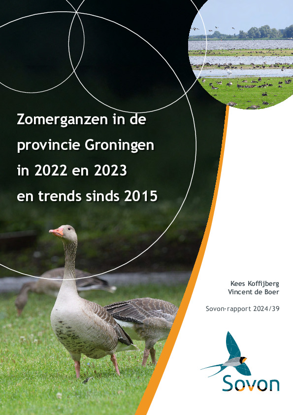 Omslag Zomerganzen in de provincie Groningen in 2022 en 2023 en trends sinds 2015