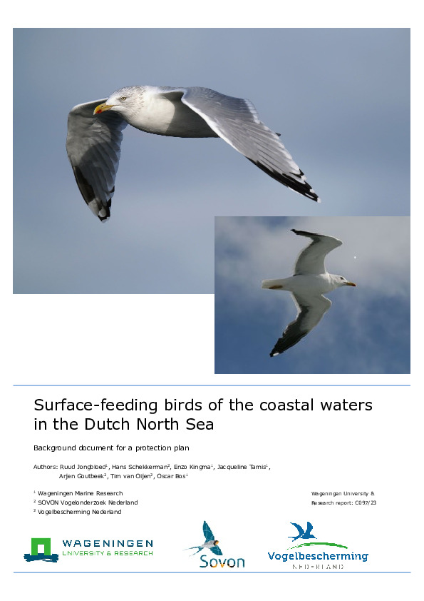 Omslag Surface-feeding birds of the coastal waters in the Dutch North Sea