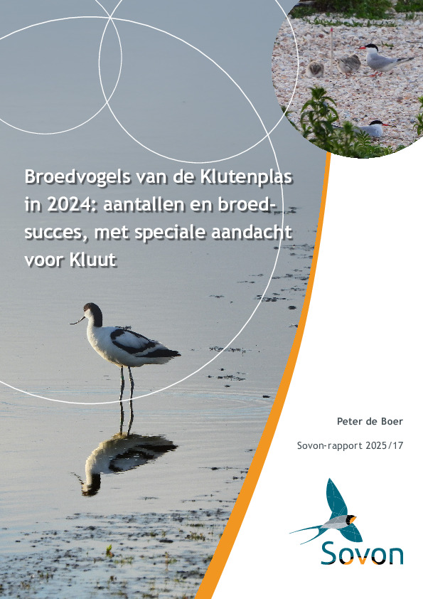 Omslag Broedvogels van de Klutenplas in 2024: aantallen en broedsucces, met speciale aandacht voor Kluut