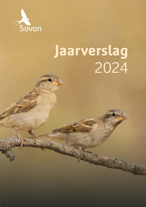 Omslag Jaarverslag 2024