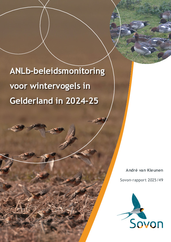 Omslag ANLb-beleidsmonitoring voor wintervogels in Gelderland in 2024-25