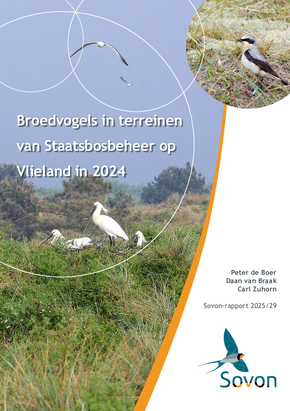 Omslag Broedvogels in terreinen van Staatsbosbeheer op Vlieland in 2024