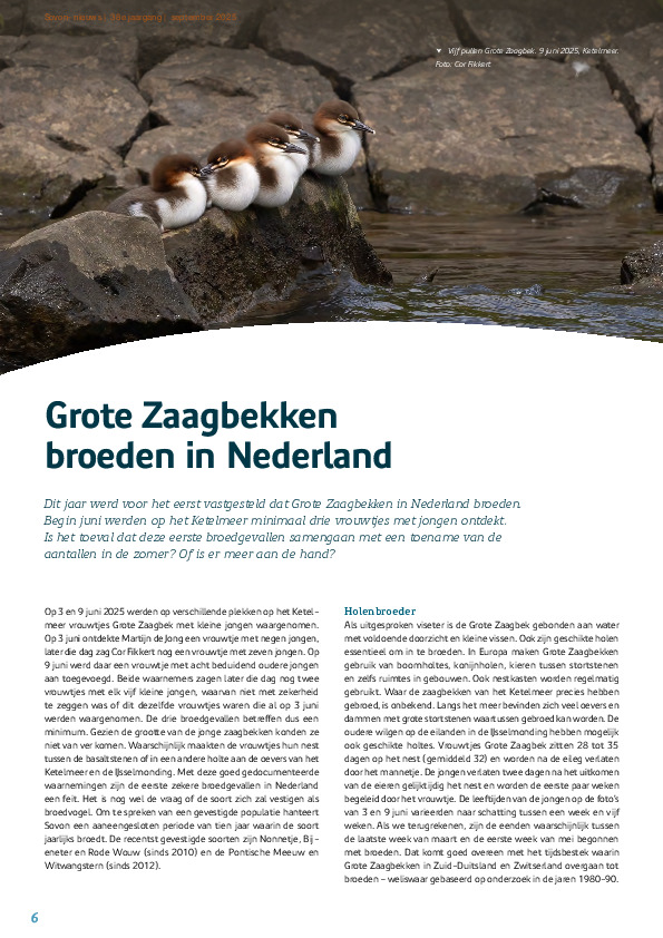 Omslag Grote Zaagbekken broeden in Nederland