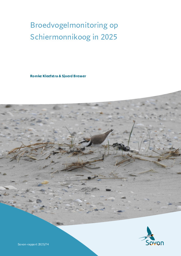 Omslag Broedvogelmonitoring op Schiermonnikoog in 2025
