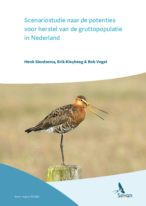 Omslag Scenariostudie naar de potenties voor herstel van de gruttopopulatie in Nederland