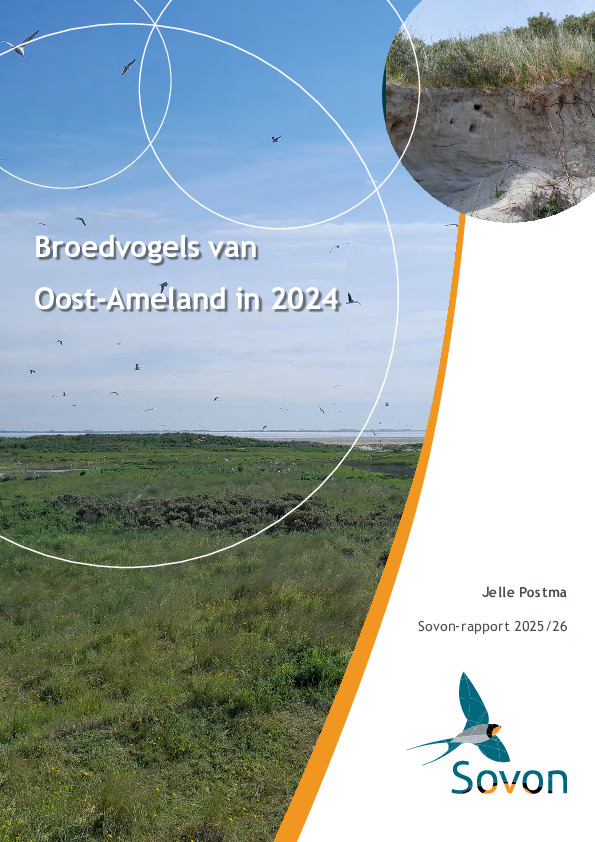 Omslag Broedvogels van Oost-Ameland in 2024