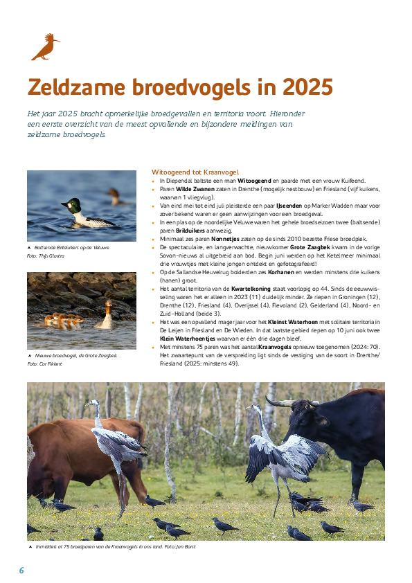 Omslag Zeldzame broedvogels in 2025
