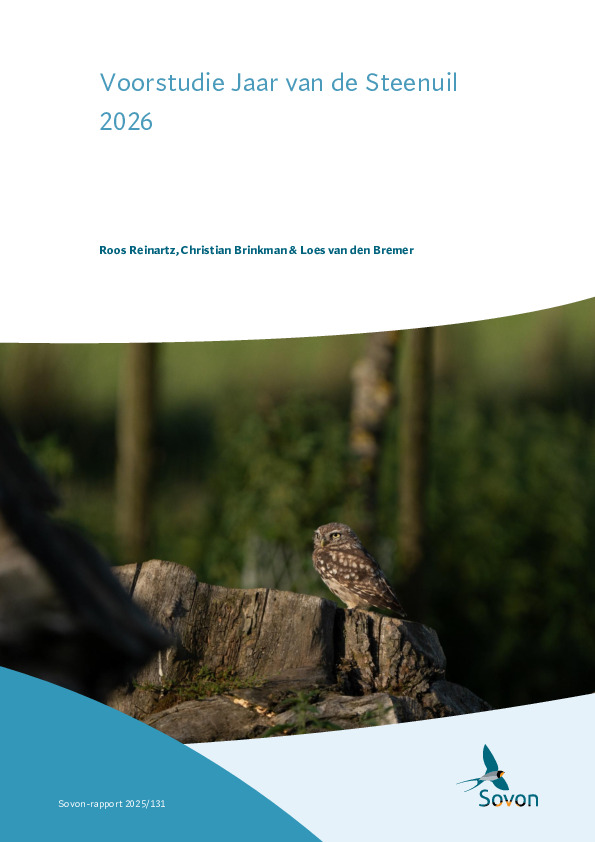 Omslag Voorstudie Jaar van de Steenuil 2026