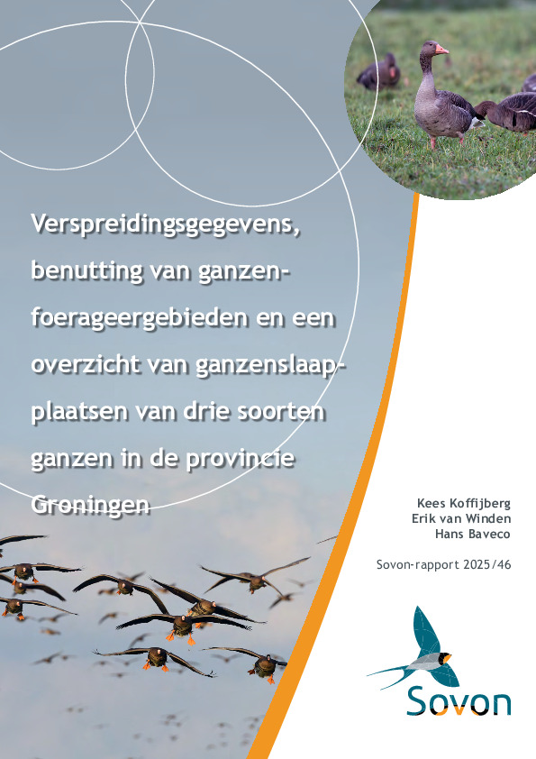 Omslag Verspreidingsgegevens, benutting van ganzenfoerageergebieden en een overzicht van ganzenslaapplaatsen van drie soorten ganzen in de provincie Groningen