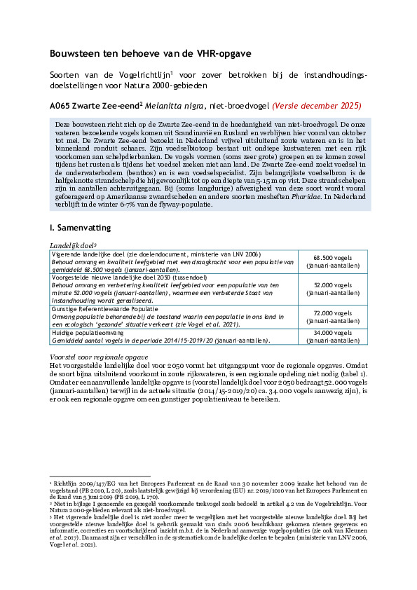 Omslag A065 Zwarte Zee-eend niet-broedvogel (Bouwsteen)