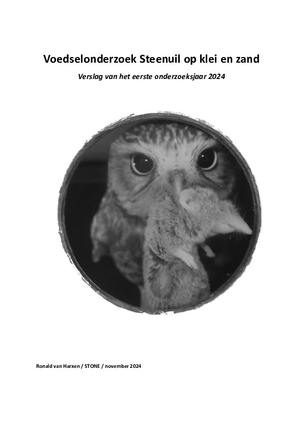 Omslag Voedselonderzoek Steenuil op klei en zand, verslag van het eerste onderzoeksjaar 2024