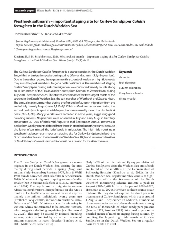 Omslag Westhoek saltmarsh – important staging site for Curlew Sandpiper (Calidris ferruginea) in the Dutch Wadden Sea