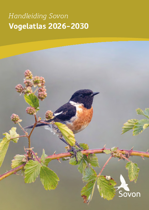 Omslag Vogelatlas 2026-2030