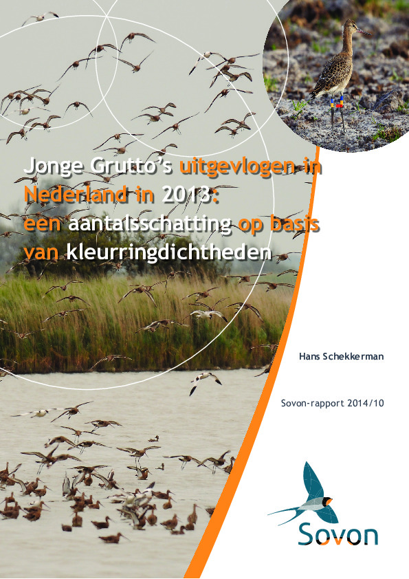 Omslag Jonge Grutto’s in Nederland in 2013: een aantalsschatting op basis van kleurringdichtheden