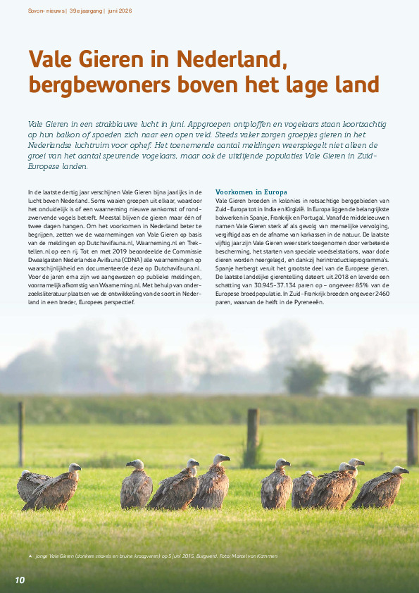 Omslag Vale Gieren in Nederland,  bergbewoners boven het lage land