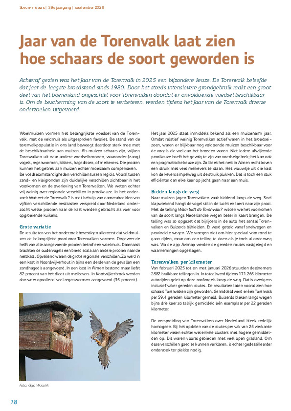 Omslag Jaar van de Torenvalk laat zien hoe schaars de soort geworden is