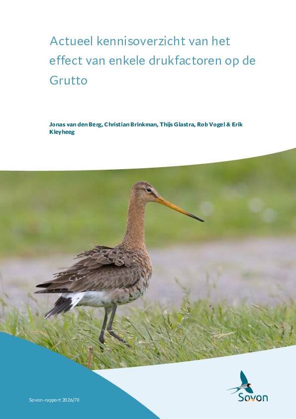 Omslag Actueel kennisoverzicht van het effect van enkele drukfactoren op de Grutto
