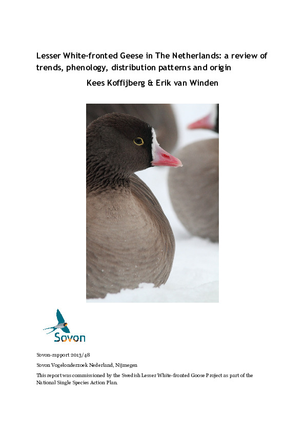 Omslag Lesser White-fronted Geese in The Netherlands: a review of trends, phenology and distribution patterns