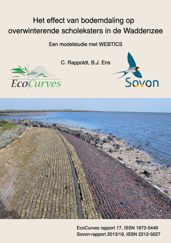 Omslag Het effect van bodemdaling op overwinterende scholeksters in de Waddenzee; Een modelstudie met WEBTICS