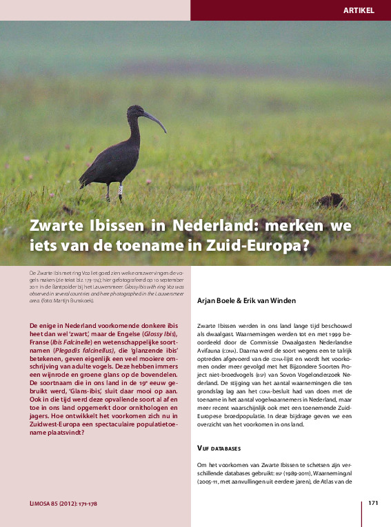 Omslag Zwarte Ibissen in Nederland: merken we iets van de toename in Zuid-Europa?
