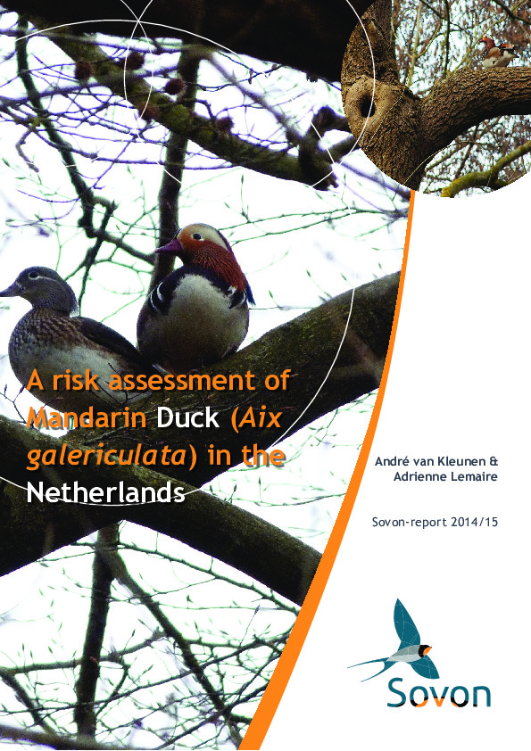 Omslag Risk assessment of Mandarin Duck in the Netherlands