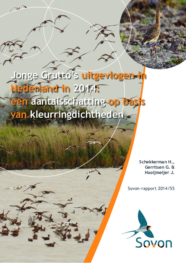 Omslag Jonge Grutto’s in Nederland in 2014: een aantalsschatting op basis van kleurringdichtheden