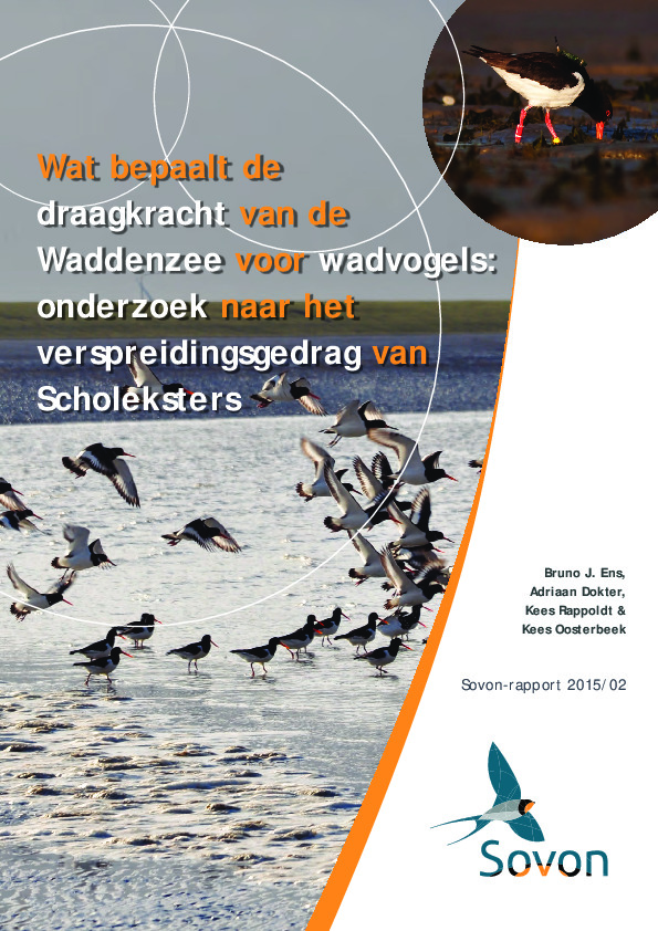 Omslag Wat bepaalt de draagkracht van de Waddenzee voor wadvogels