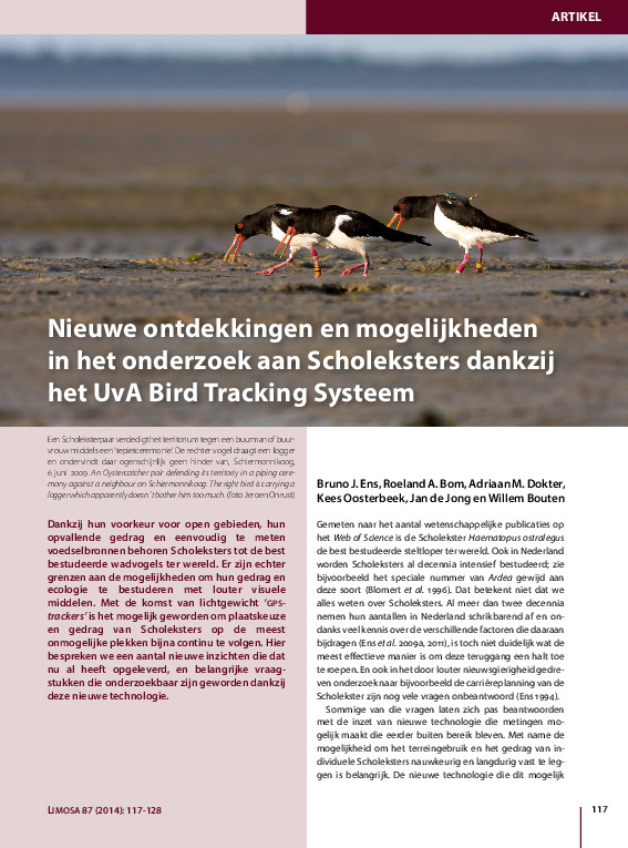 Omslag Nieuwe mogelijkheden onderzoek Scholekster dankzij Bird Tracking