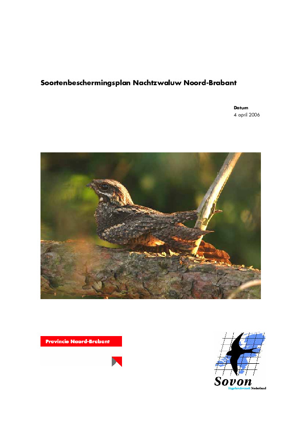 Omslag Soortbeschermingsplan Nachtzwaluw Noord-Brabant