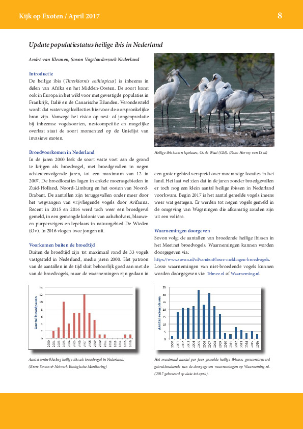 Omslag Update populatiestatus heilige ibis in Nederland