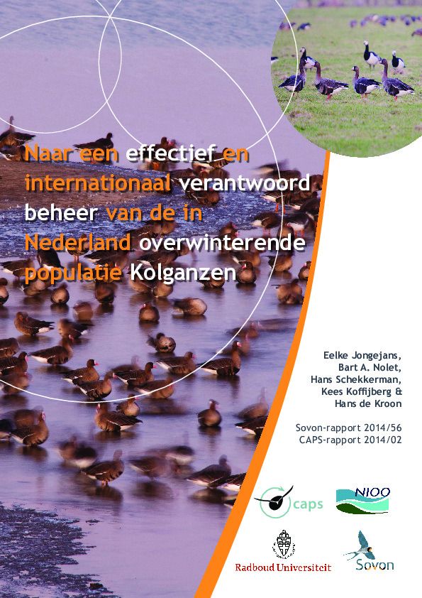 Omslag Naar een effectief en internationaal verantwoord beheer van de in Nederland overwinterende populatie Kolganzen