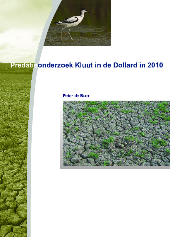 Omslag Predatieonderzoek aan Kluut op de Dollard in 2010