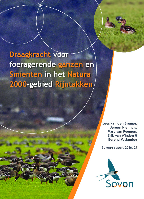 Omslag Draagkracht voor foeragerende ganzen en Smienten in het Natura 2000-gebied Rijntakken