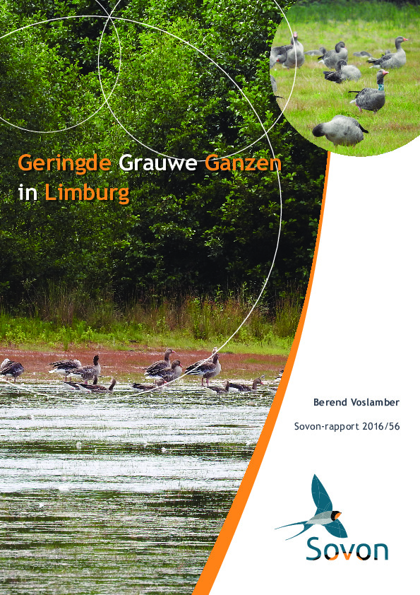 Omslag Geringde Grauwe Ganzen in Limburg